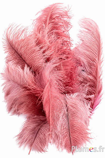 Struzzo - 32-42 cm - grigi-pesca